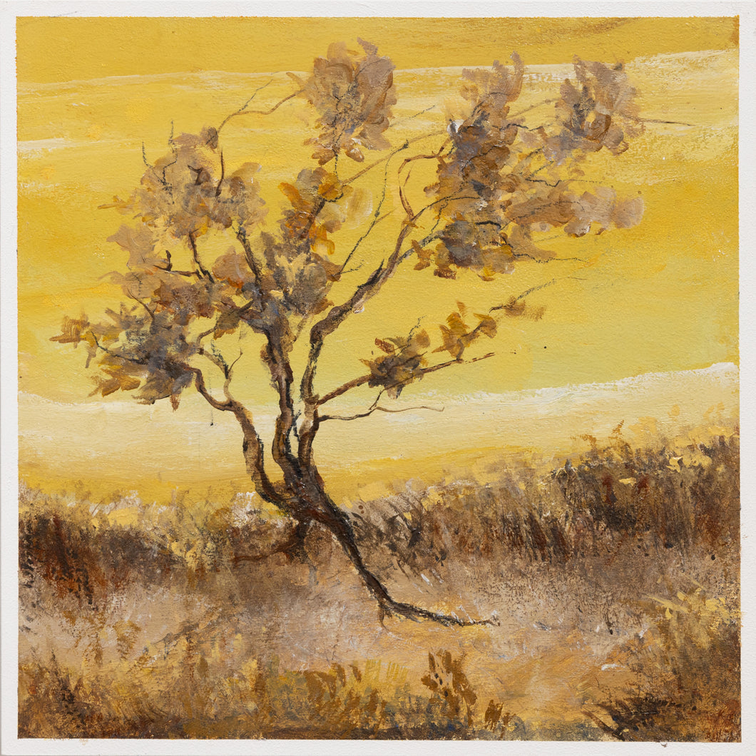 Arredondo, Daniel - Feel the Breeze (1 of 3)