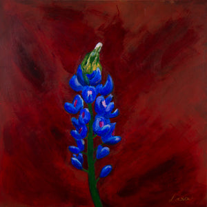 Palma-Lara, Sara - Bluebonnet Sunset